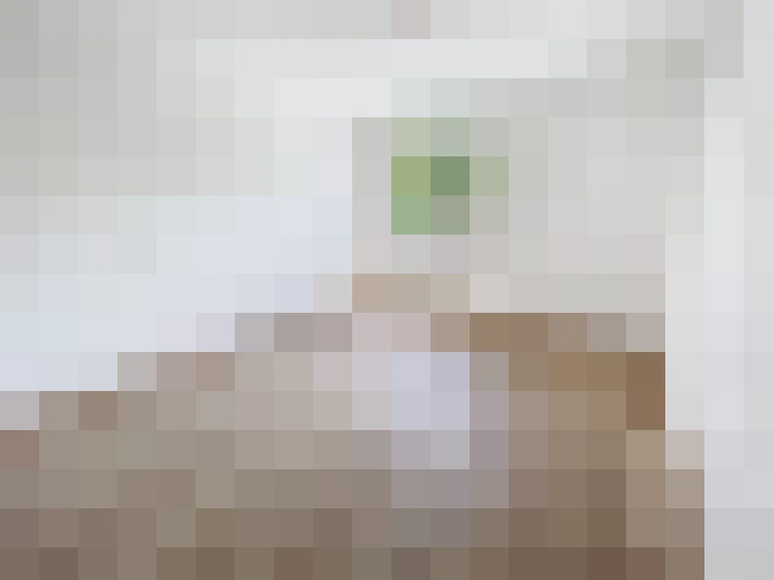  / #11