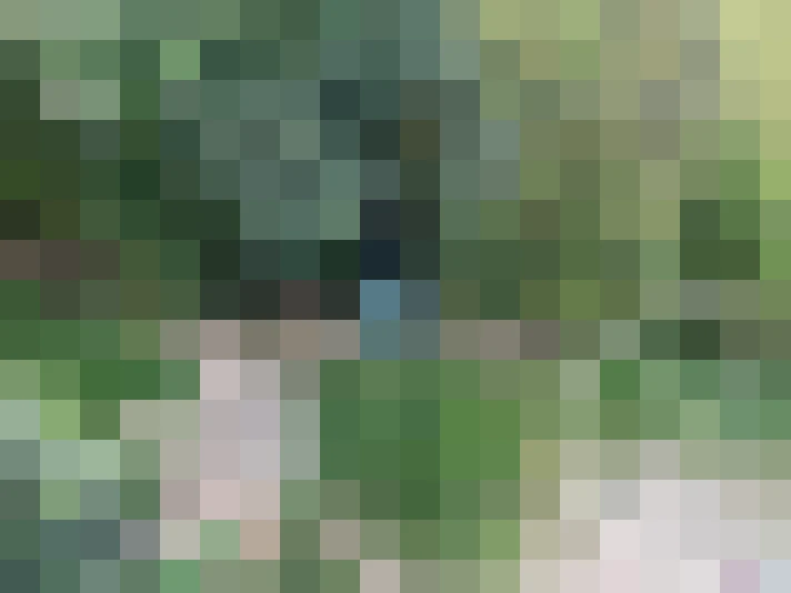  / #14