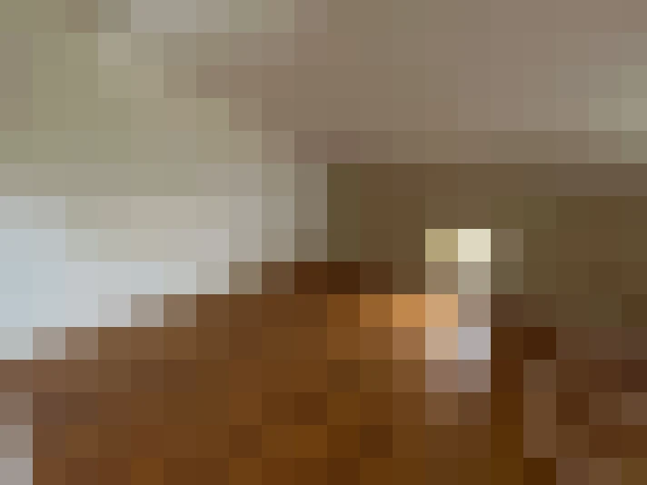  / #11