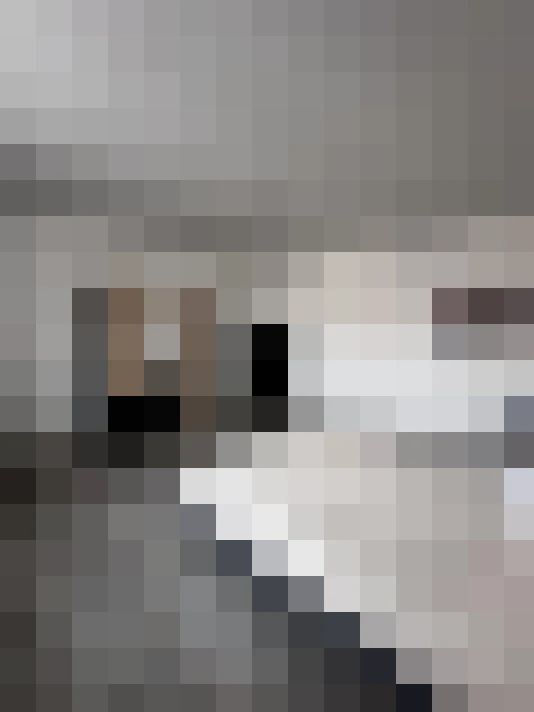  / #15