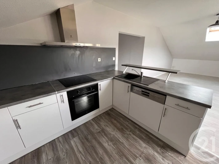 Voir la photo 1/14 du type apartment à Saône