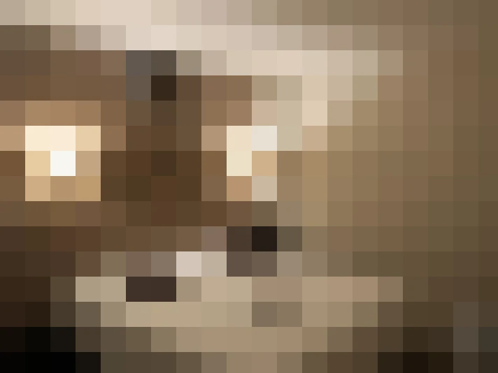  / #7