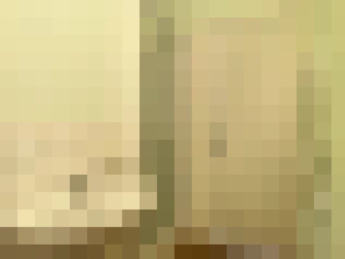  / #8