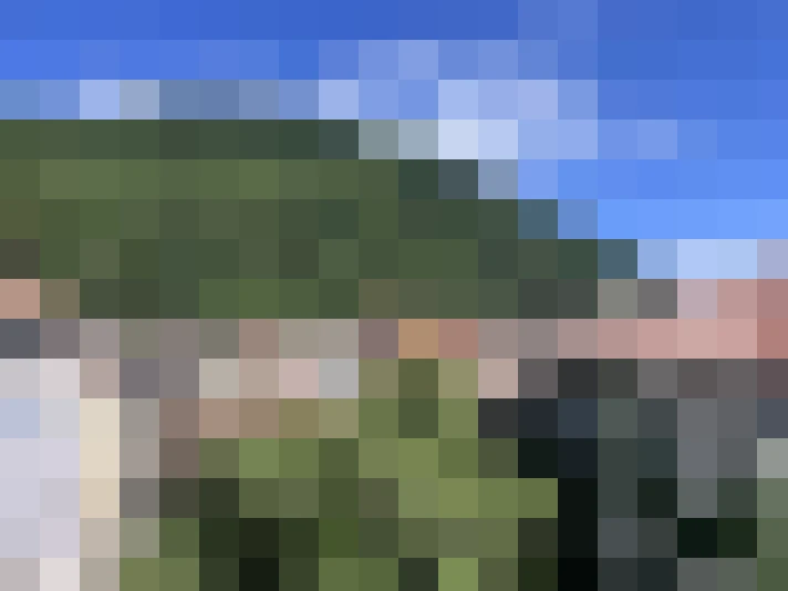  / #14