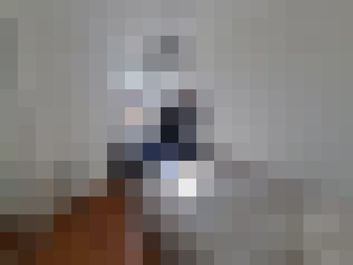  / #15