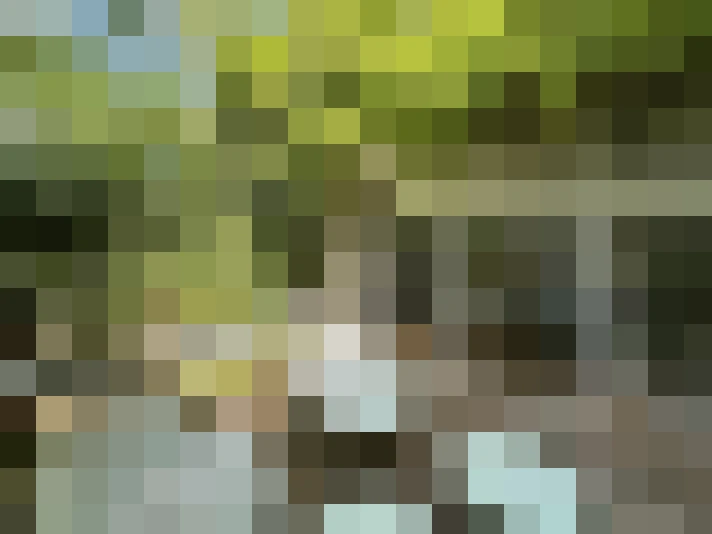  / #12