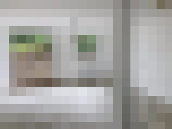  / #24