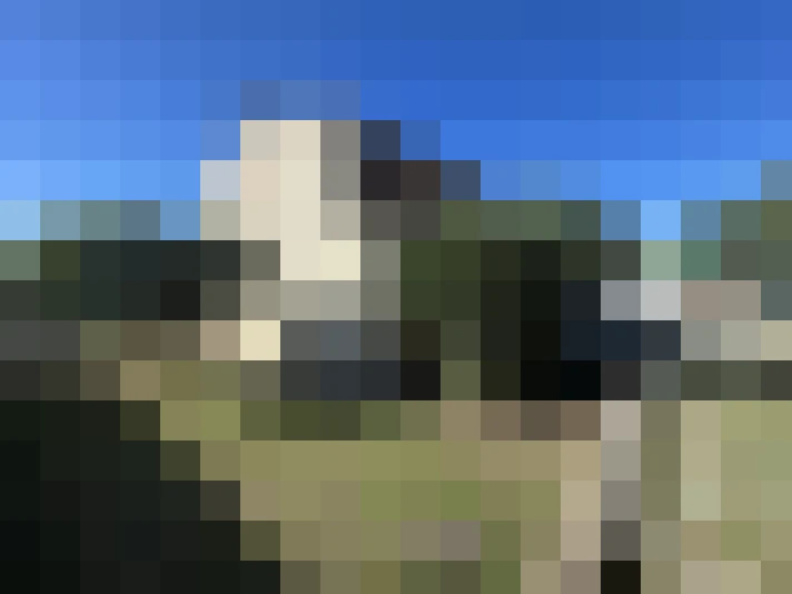  / #14