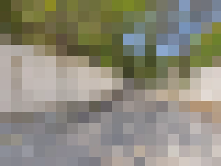  / #12