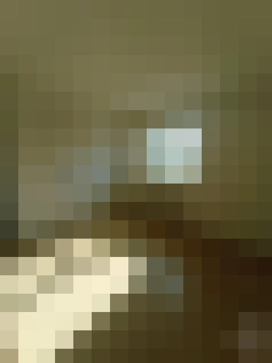  / #13