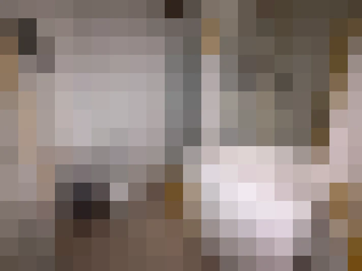  / #14
