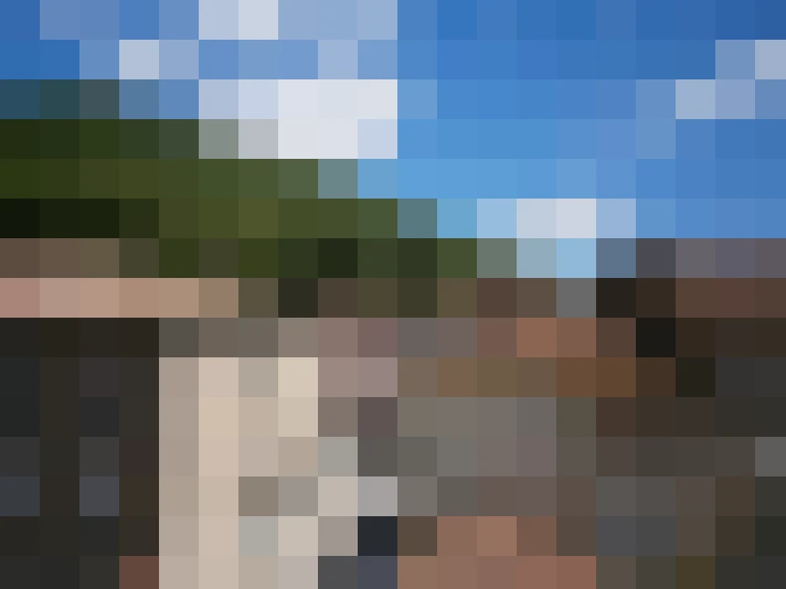  / #11