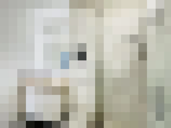  / #13