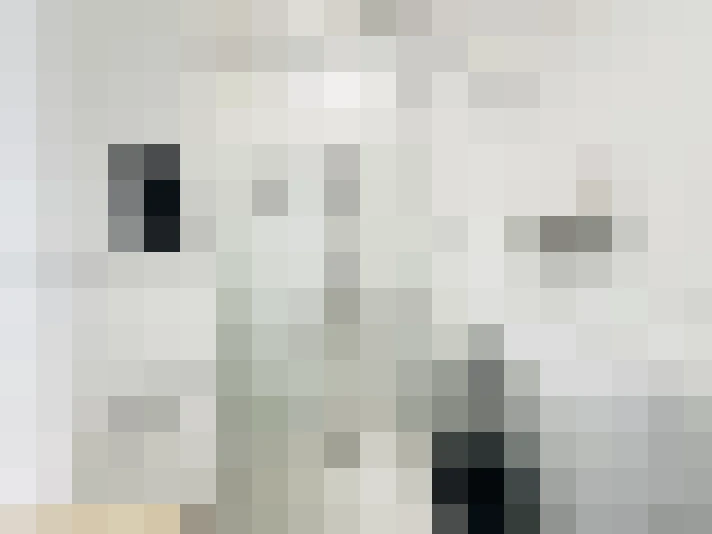  / #12