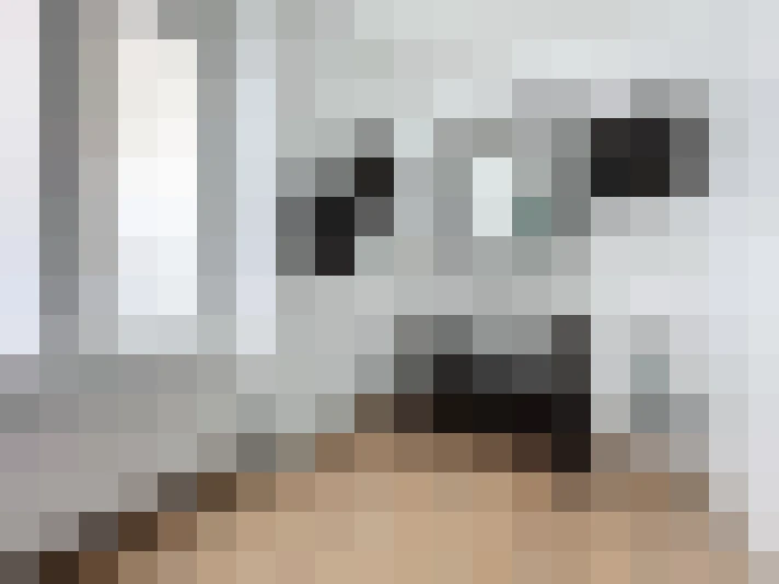  / #9