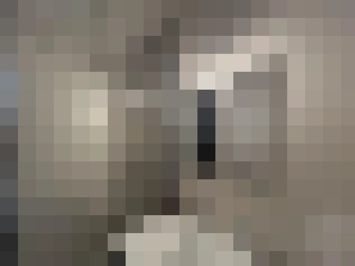  / #15