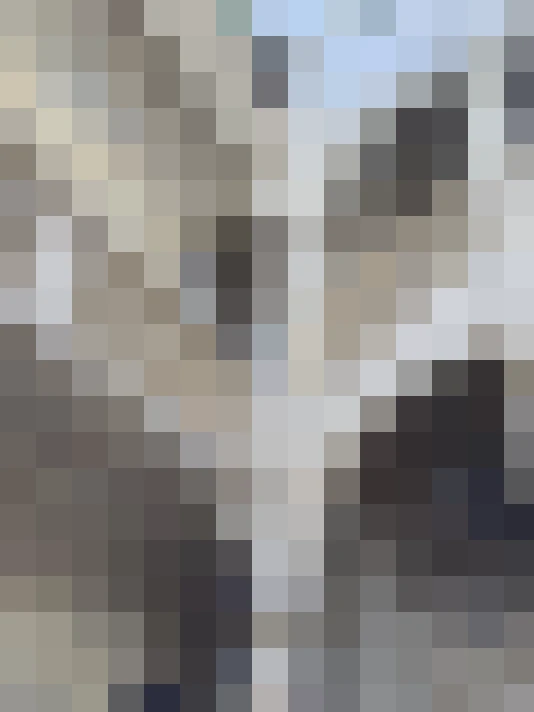  / #13