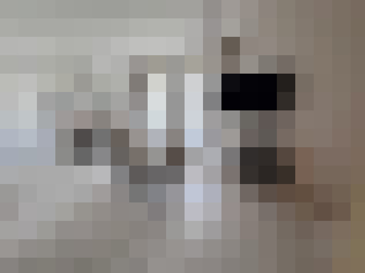  / #7
