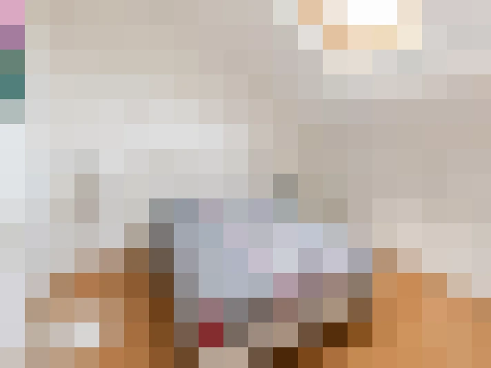  / #11