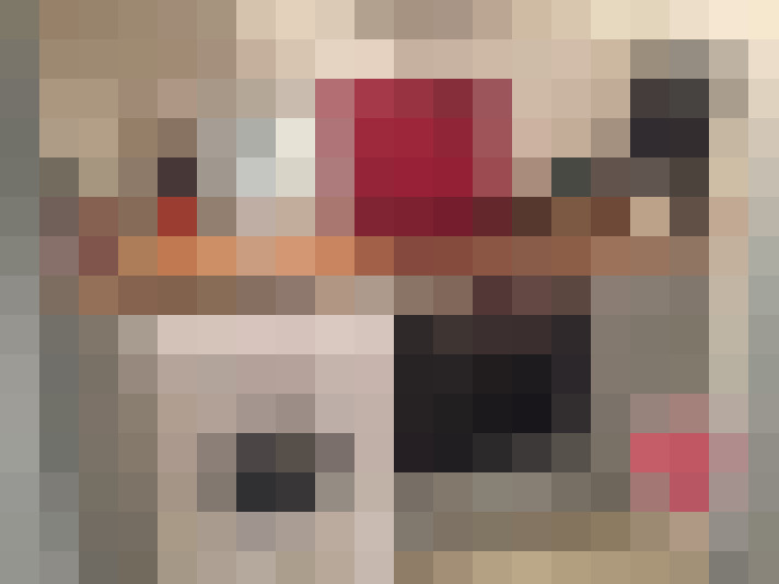  / #8