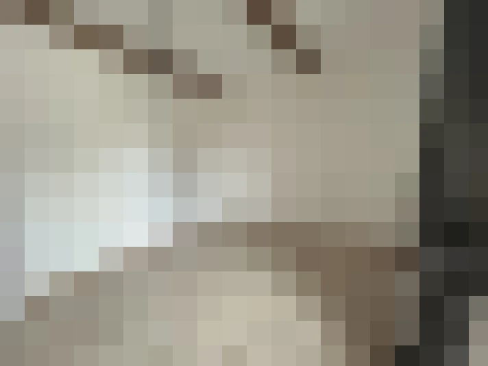  / #11