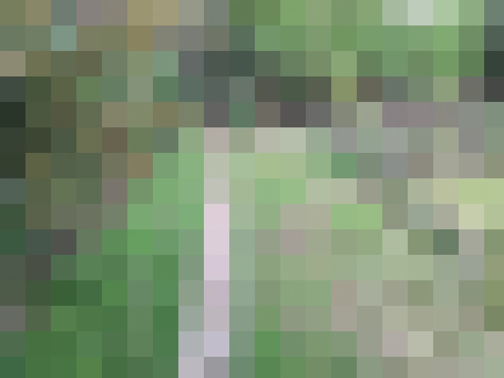  / #18