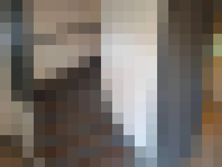  / #19