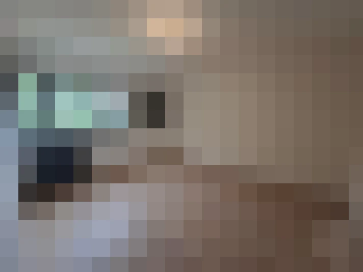  / #15