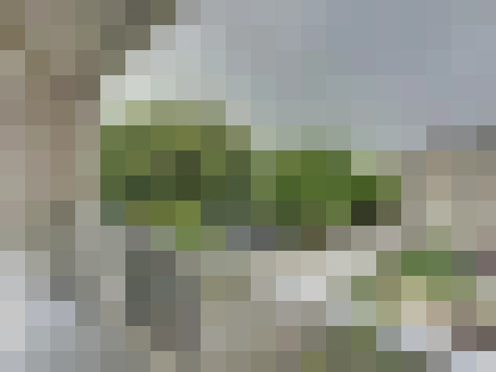  / #7