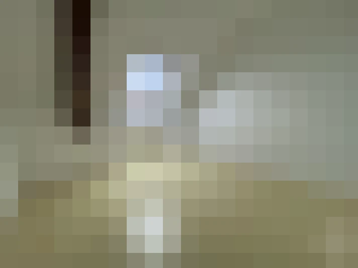  / #11
