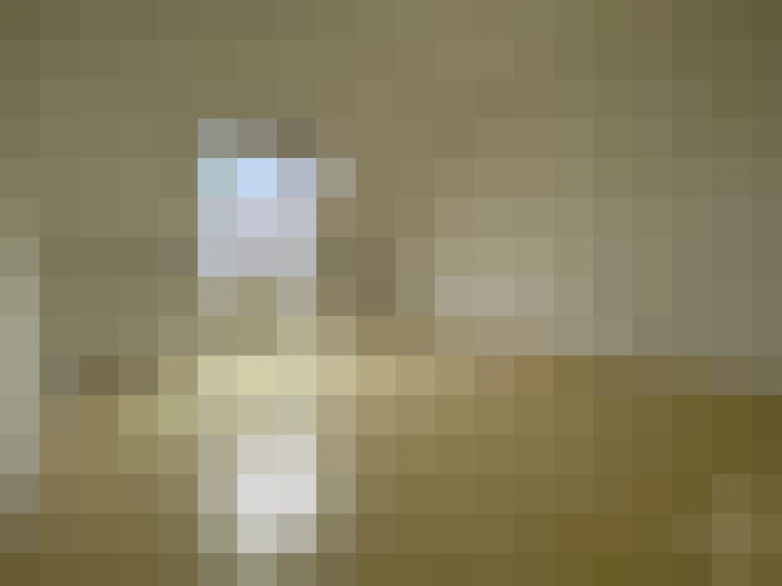  / #10