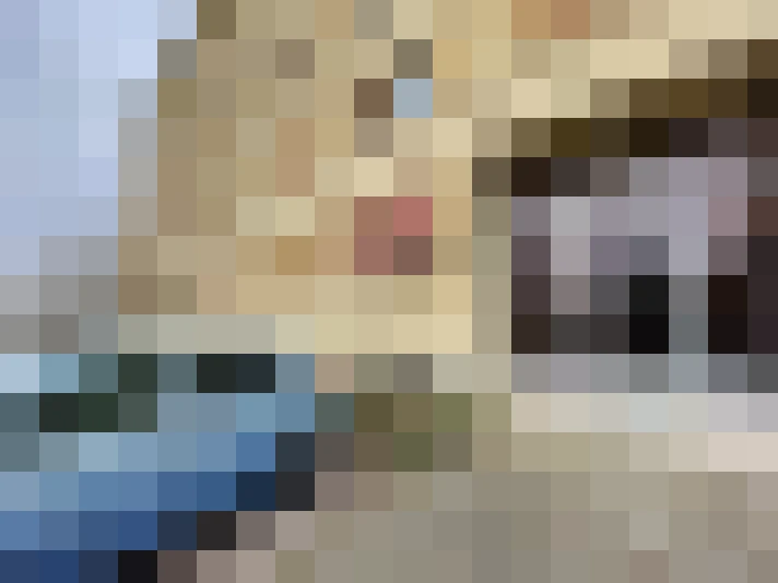  / #7