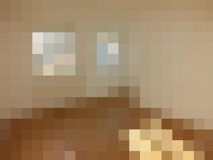  / #23