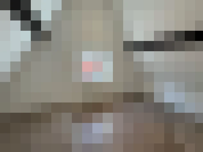  / #7
