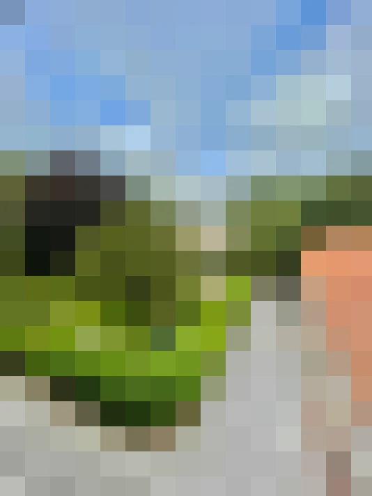  / #7