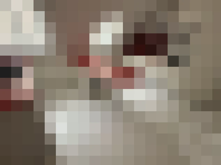  / #5