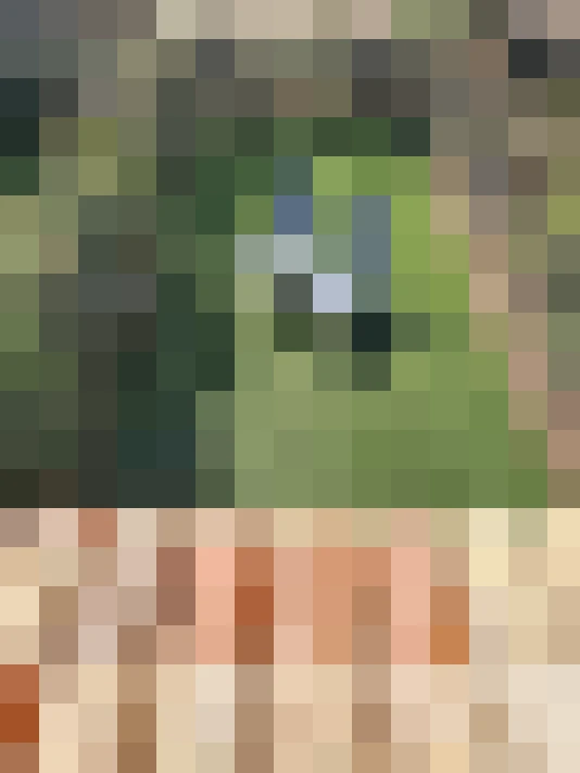  / #22