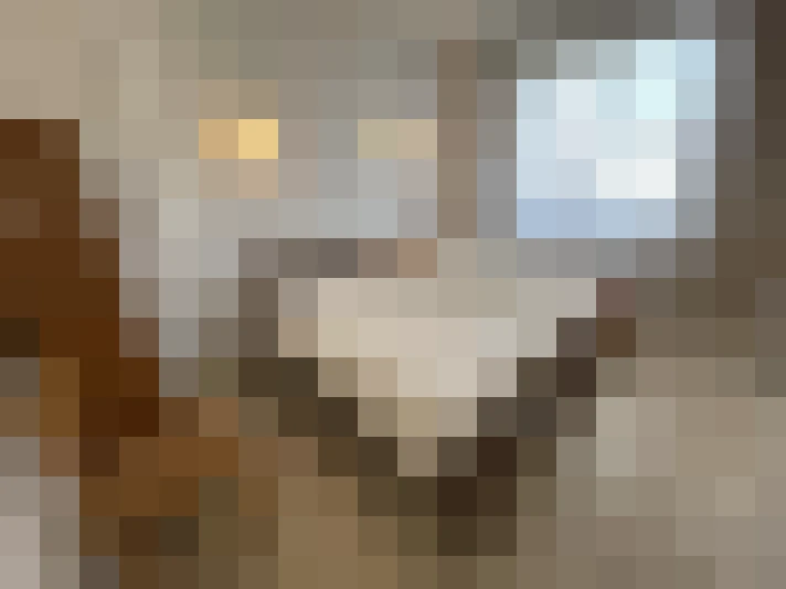  / #16