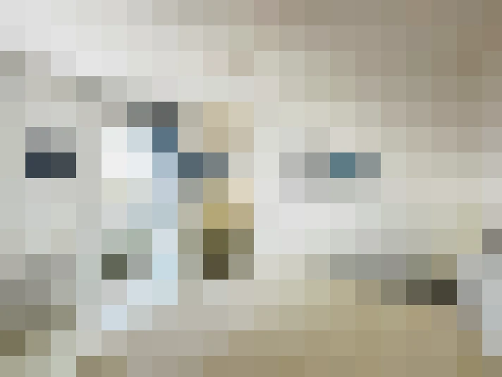  / #16