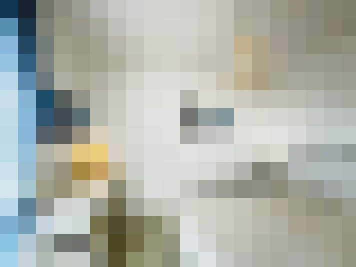  / #17