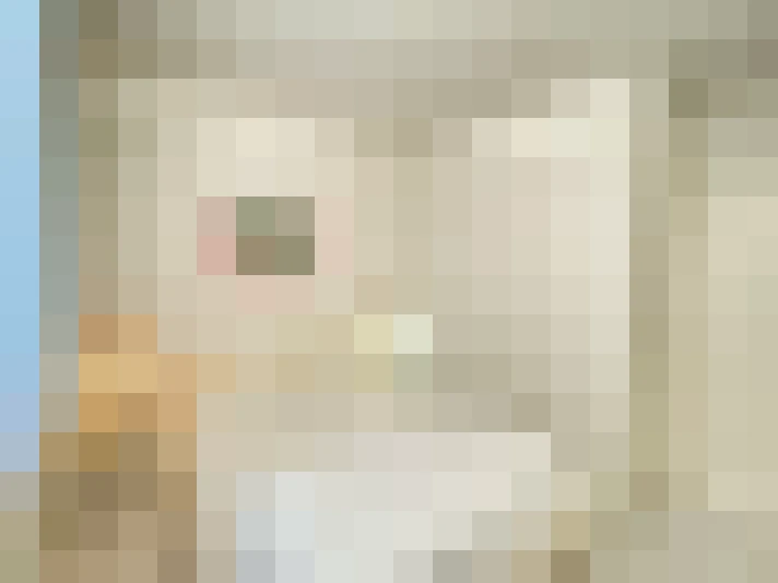  / #16