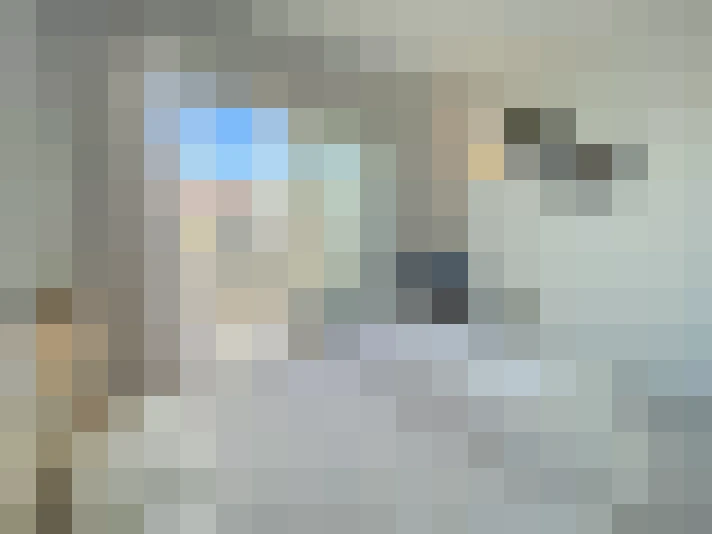  / #9