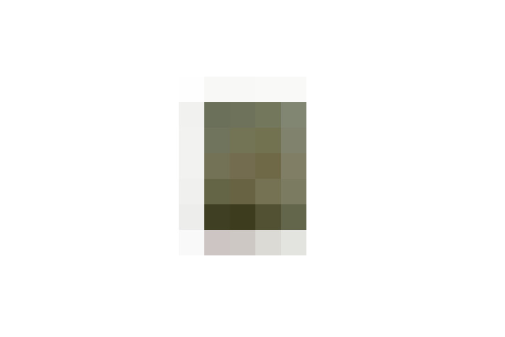  / #16