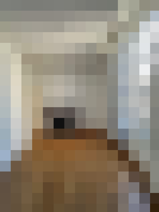  / #15