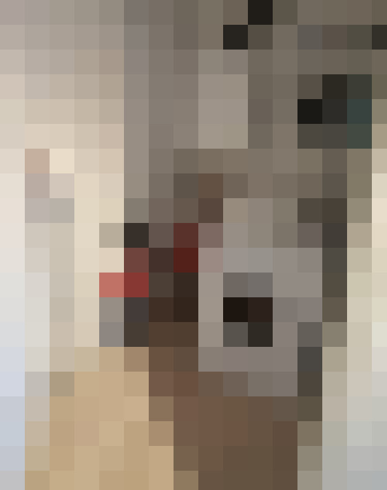  / #13