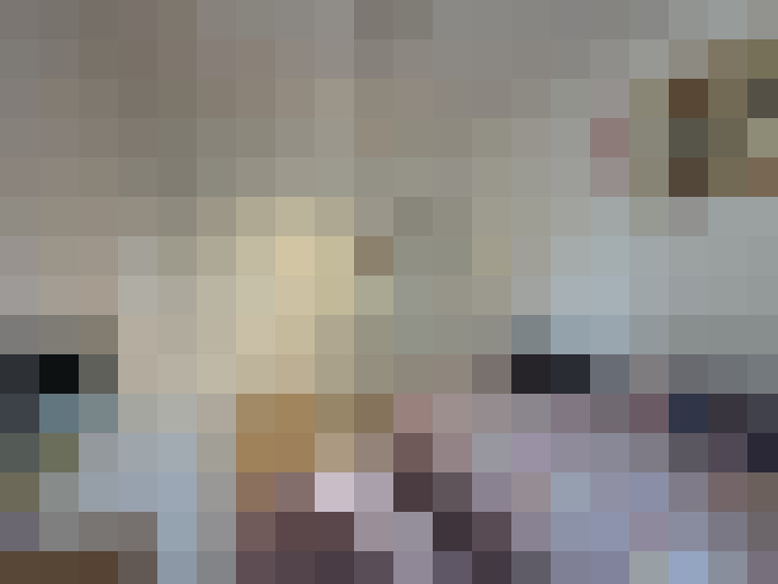  / #17