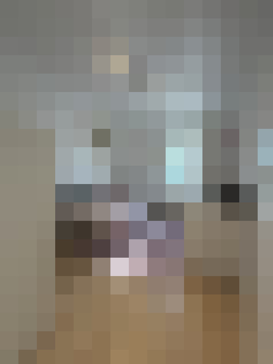  / #16
