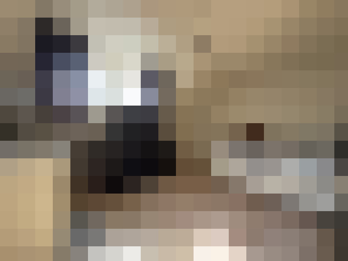  / #19