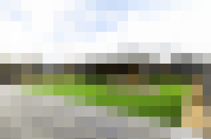  / #31