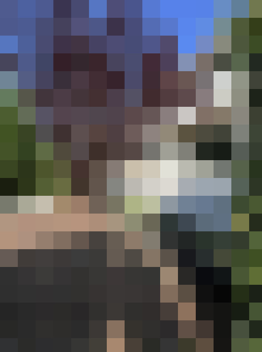  / #17